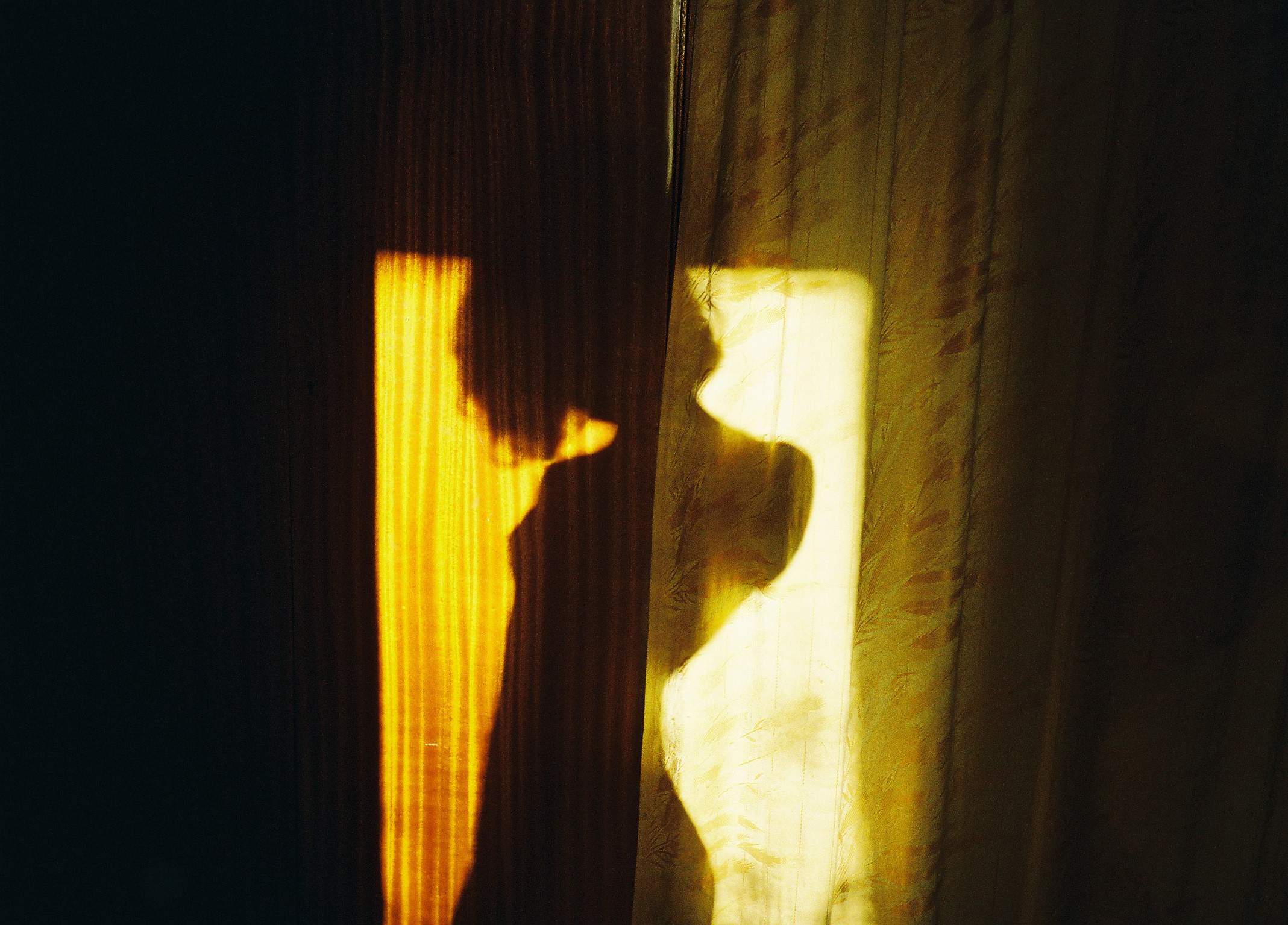 Closer / Die Reisende