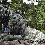 berlin date sommer tierpark - ohlala