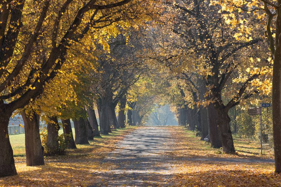 herbst-date-spaziergang_web