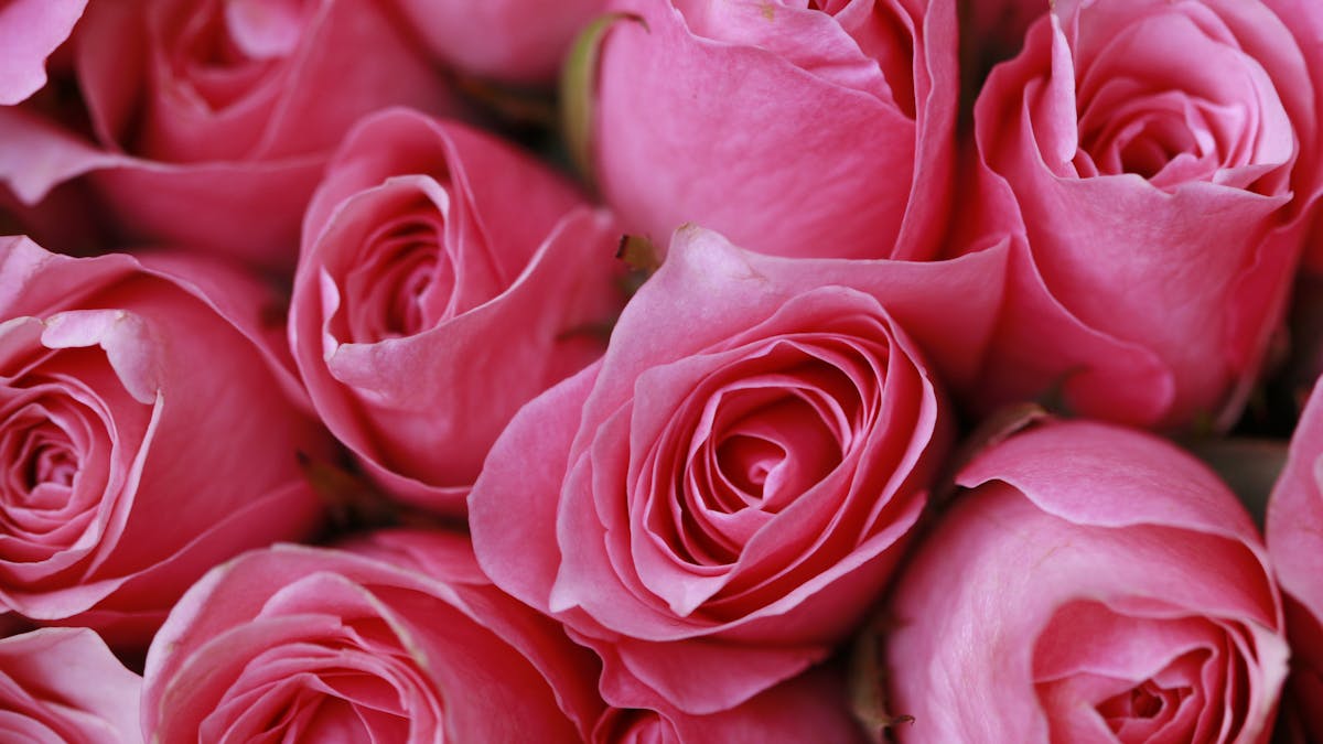 Age Gap Dating: Wenn das Alter keine Rolle spielt