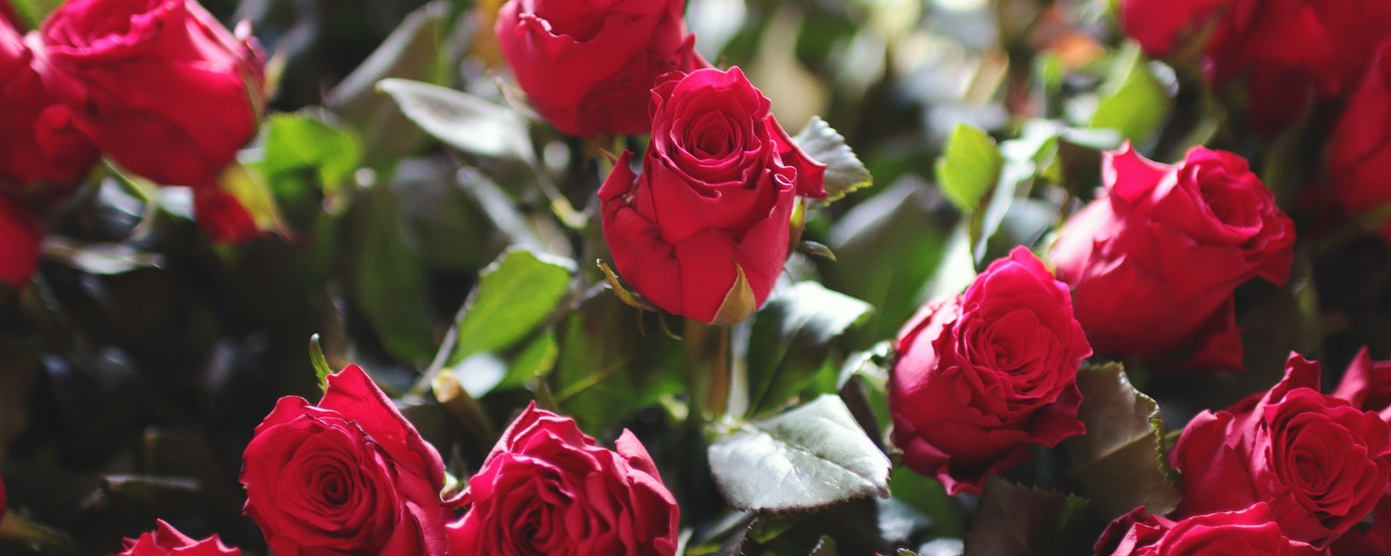 5 Essentials For Your Own Anti-Valentine’s Day